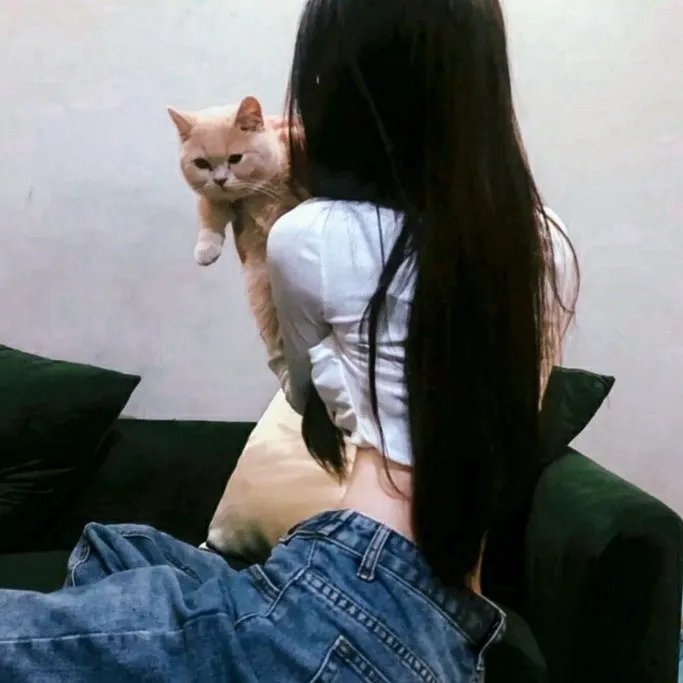悬案密码2:野鸡杀手封面